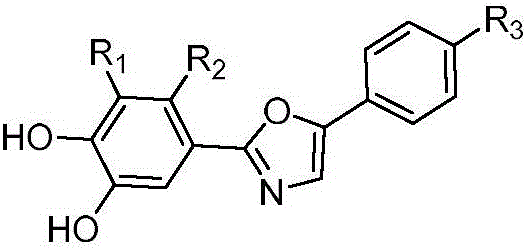 Bromophenol-oxazole compound and its use in drug for treatment on diabetes mellitus type 2