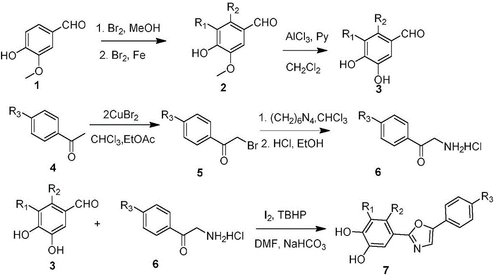 Bromophenol-oxazole compound and its use in drug for treatment on diabetes mellitus type 2