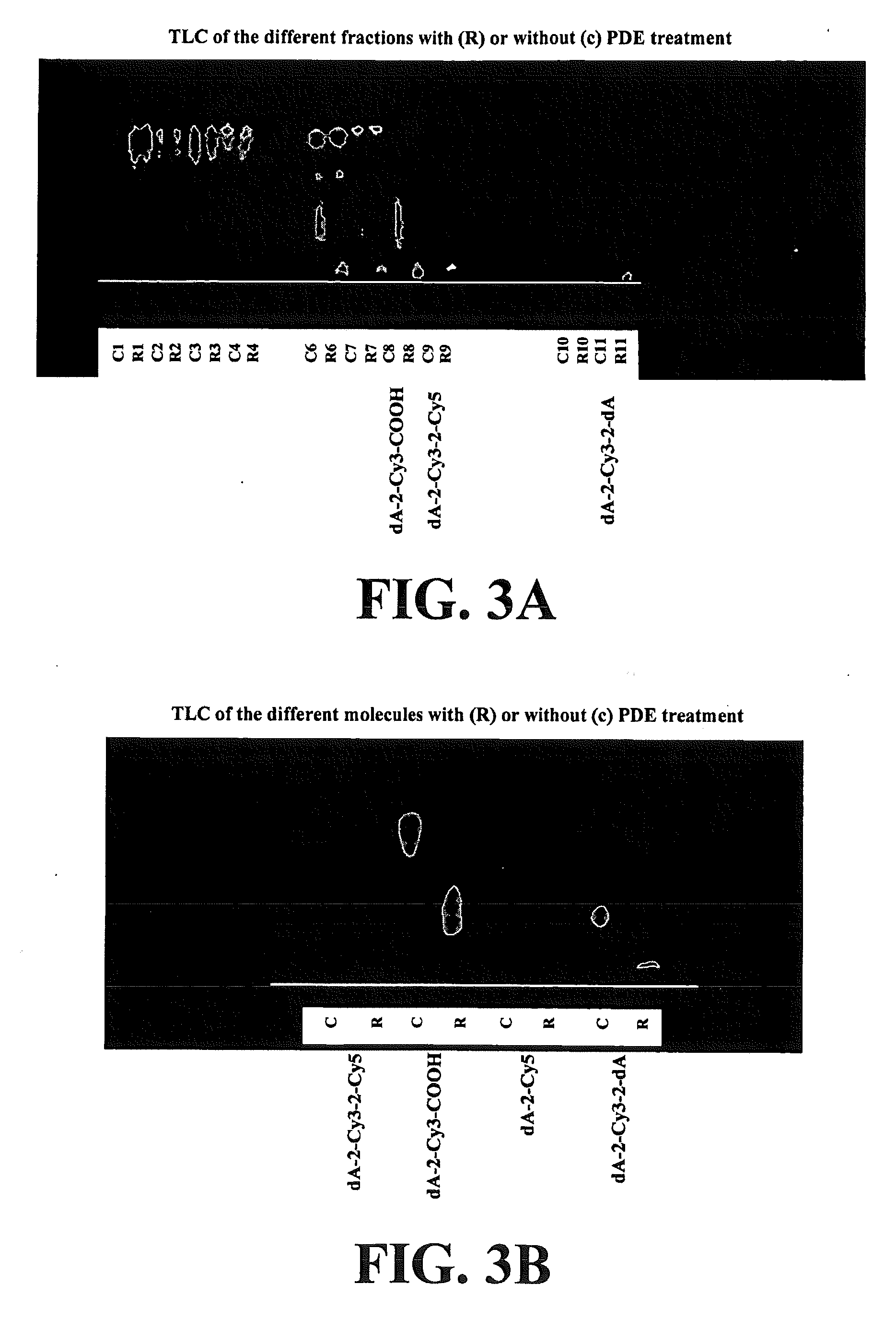 Methods for preparing modified biomolecules, modified biomolecules and methods for using same