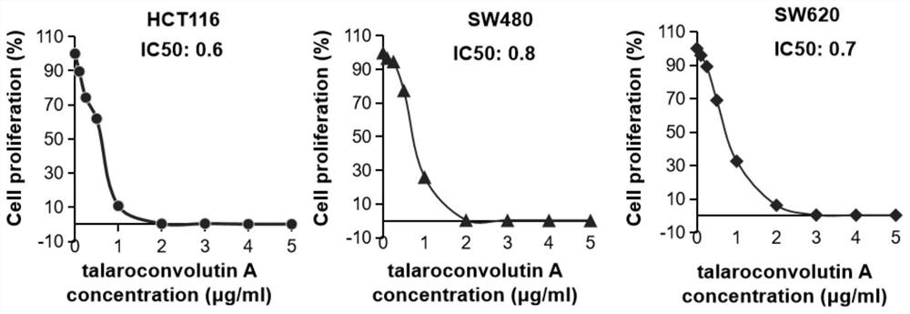 Application of Talaroconvolutin A in anticancer drugs and foods