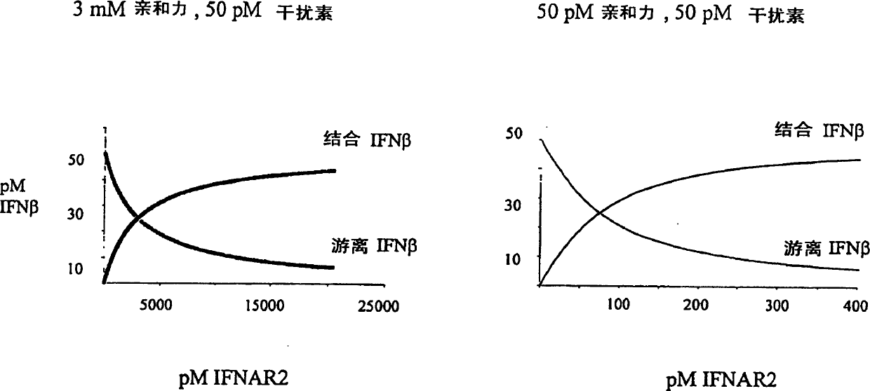 IFNAR2 mutants, their production and use