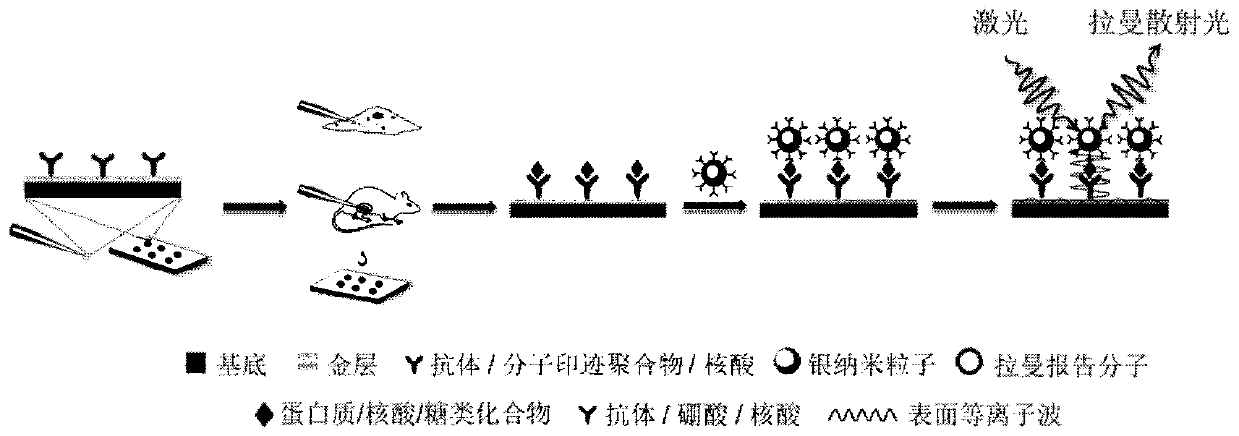 A gold-based extraction material functionalized with different affinity ligands and its application in surface plasmon optical affinity sandwich analysis