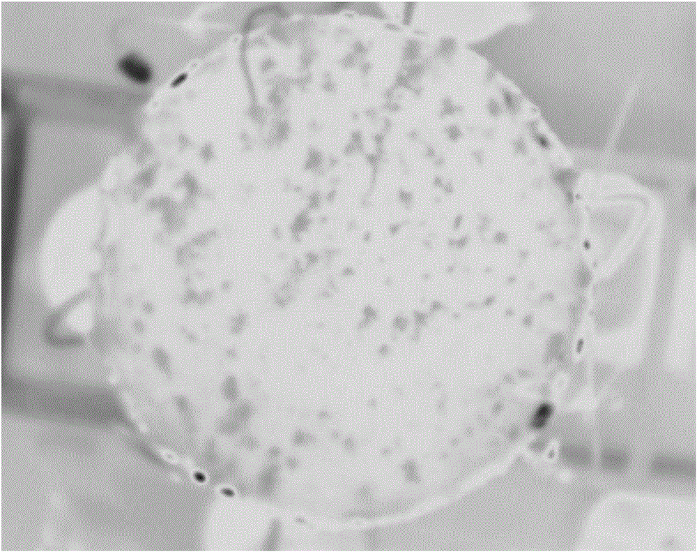 Roof vegetation evapotranspiration measuring method based on thermal imaging technology