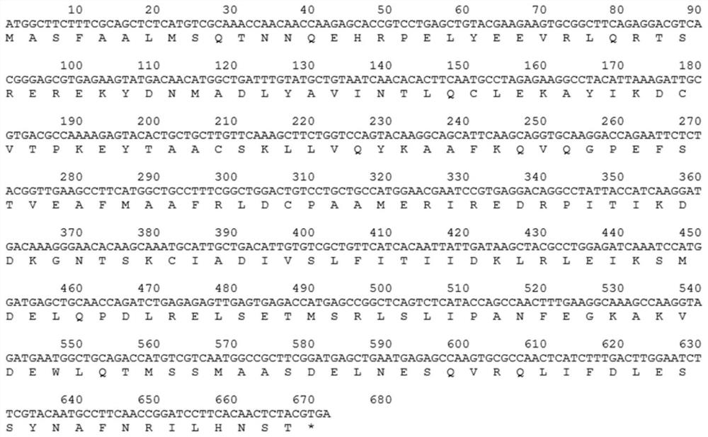 The vacuolar sortilin molecule of R. falciparum and its application