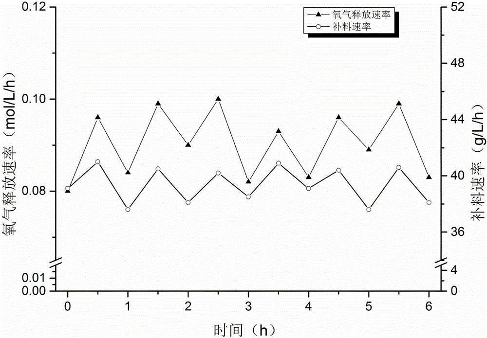 Preparation method of high-concentration D-arabinose