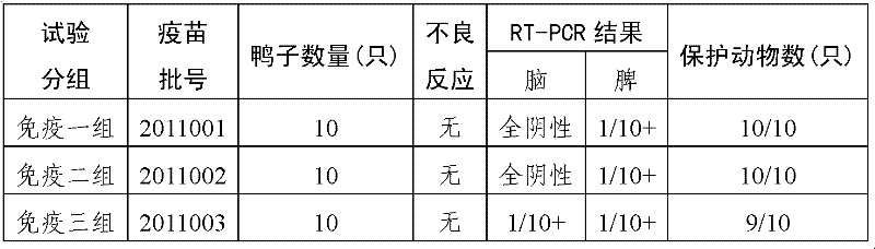 Duck BYD virus inactivated vaccine and preparation method thereof