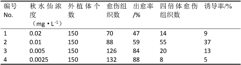 Method for induction of lycium ruthenicum murr tetraploid through tissue culture