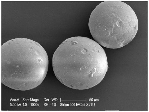 Silicon-based anion exchange resin and preparation method thereof