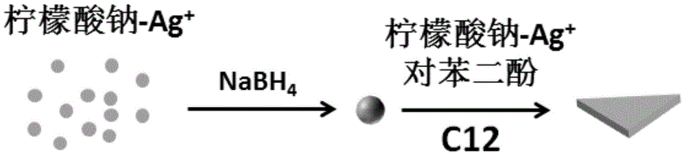 Preparation method for flaky silver nanometer materials