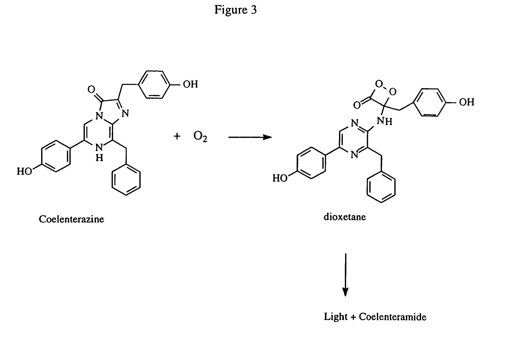 Kits for increasing luminescence assay sensitivity