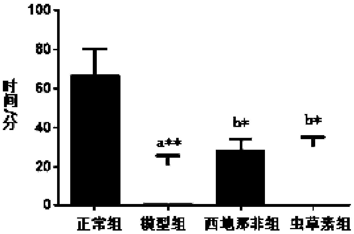 Application of cordycepin to preparation of related preparations for preventing and treating male sexual dysfunction