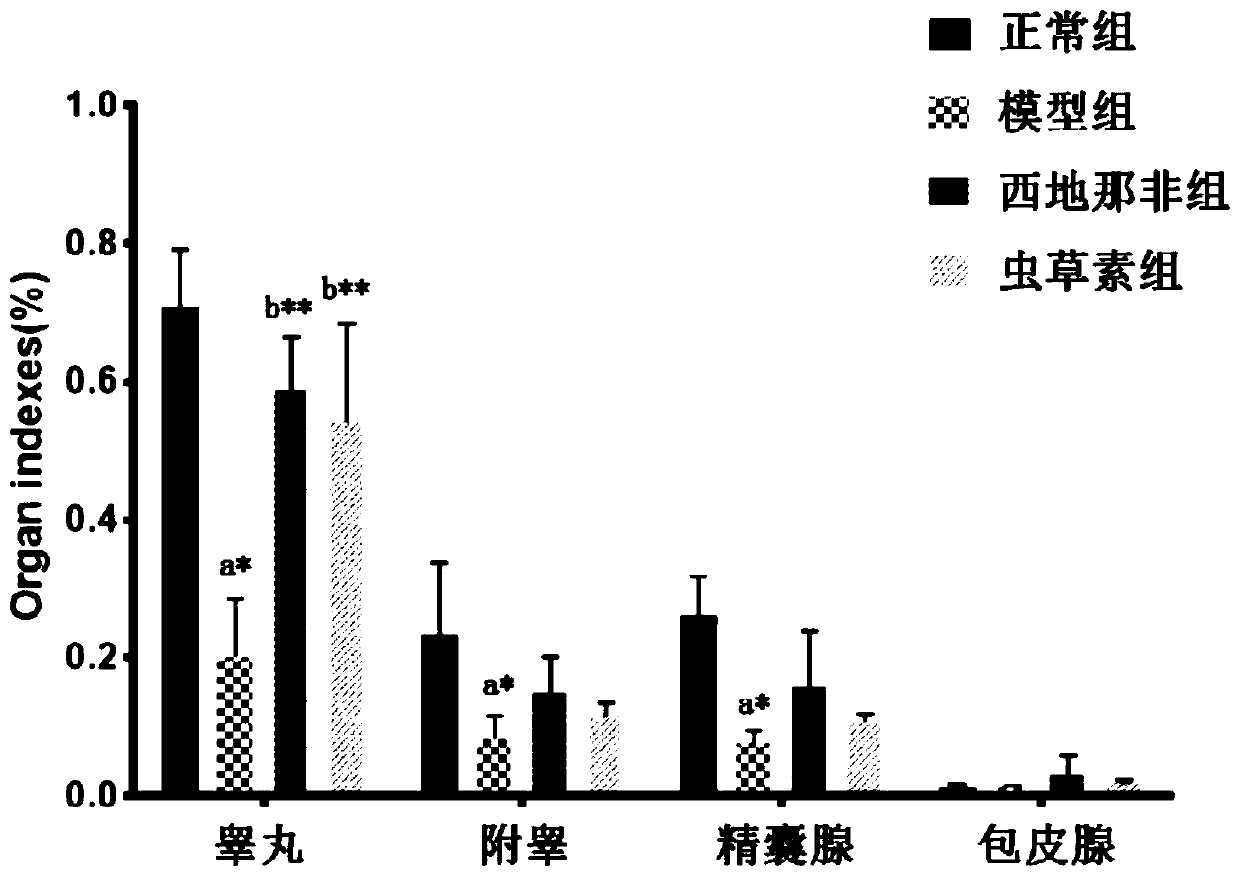 Application of cordycepin to preparation of related preparations for preventing and treating male sexual dysfunction