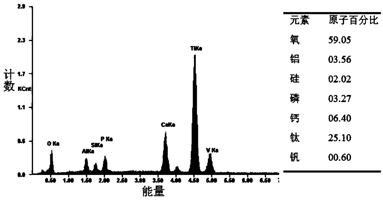 Surface modified porous metal implant and preparation method thereof