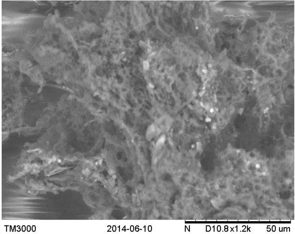 Surplus sludge loaded photocatalyst as well as preparation method and application thereof