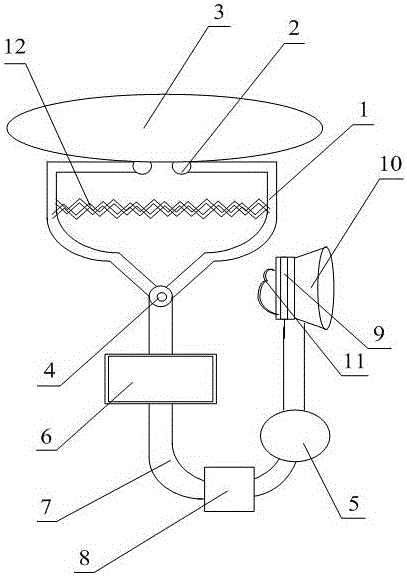 Medical auscultator for pediatrics