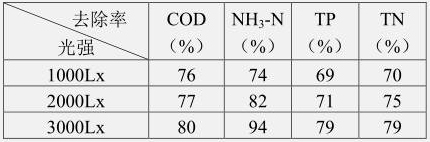 A method of joint treatment of black and odorous water by using indigenous microbial film and microalgae