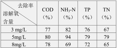 A method of joint treatment of black and odorous water by using indigenous microbial film and microalgae