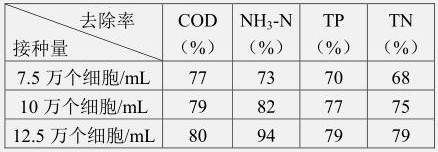 A method of joint treatment of black and odorous water by using indigenous microbial film and microalgae