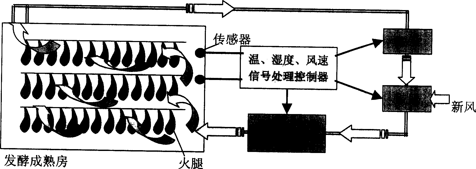 Ferment and mature process of dried pickled ham