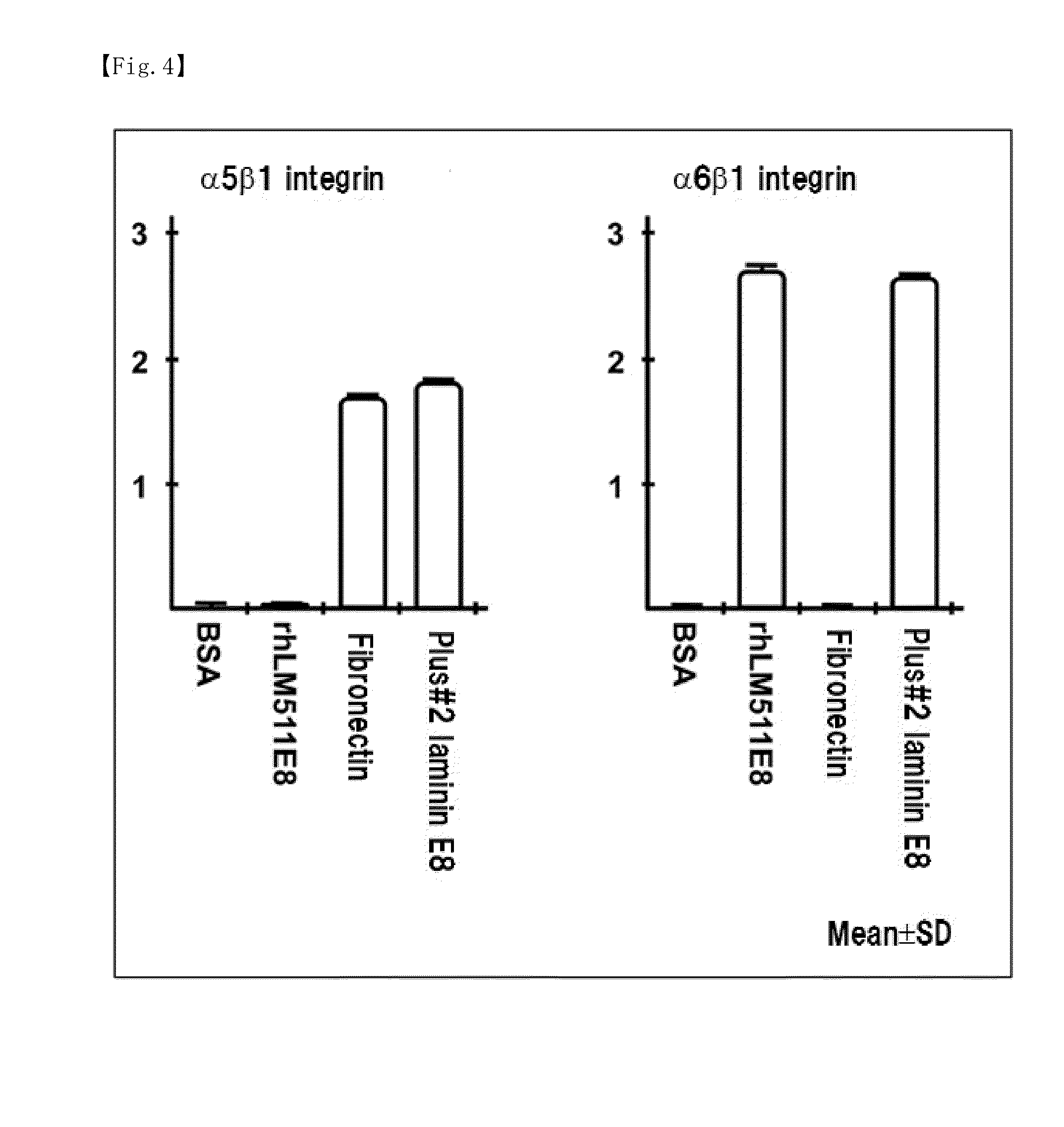 Modified laminin and use thereof