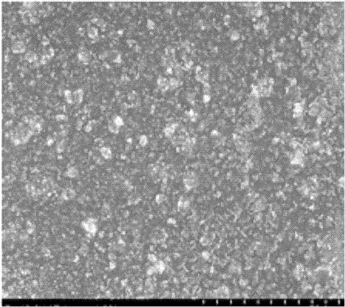 Membrane adsorbent for recycling nitrogen and phosphorus resources from waste water as well as preparation method and application thereof