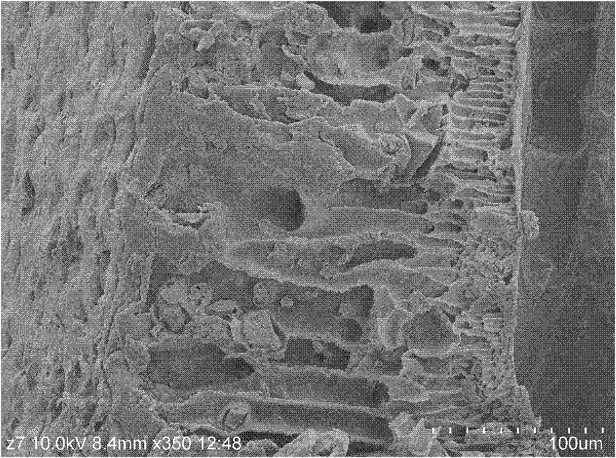 Membrane adsorbent for recycling nitrogen and phosphorus resources from waste water as well as preparation method and application thereof