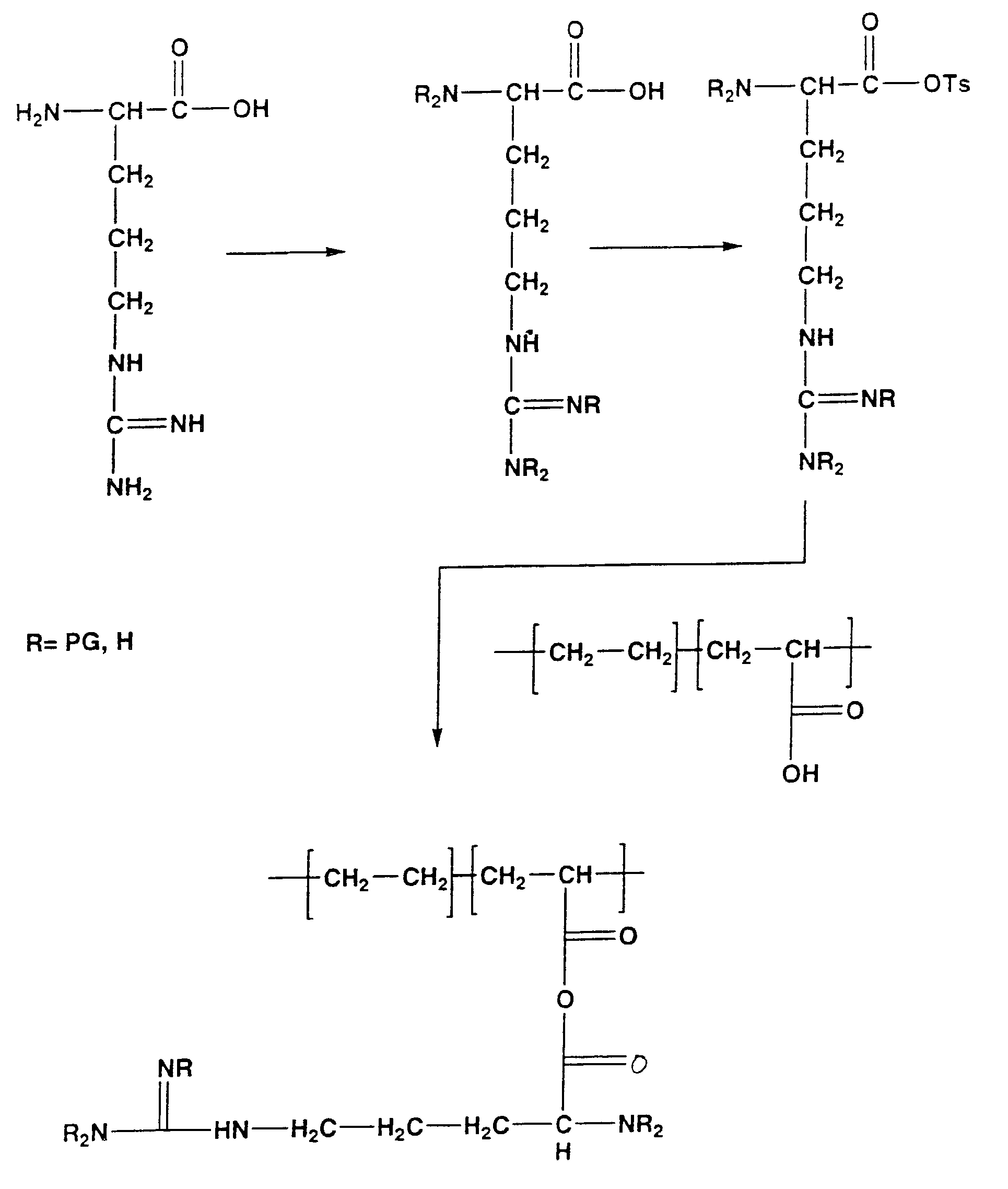 Biocompatible carrier containing L-arginine