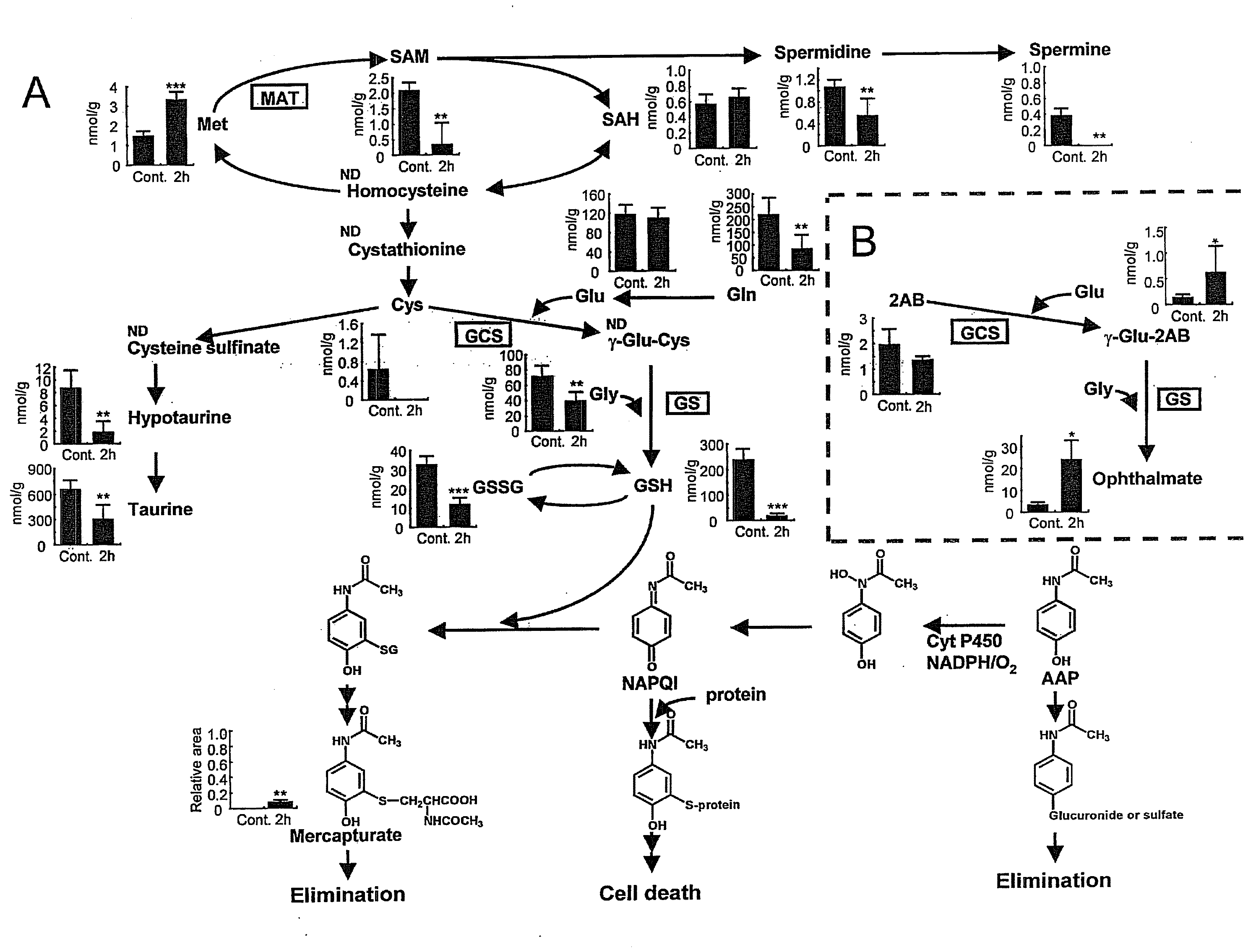 Method for determination of oxidative stress