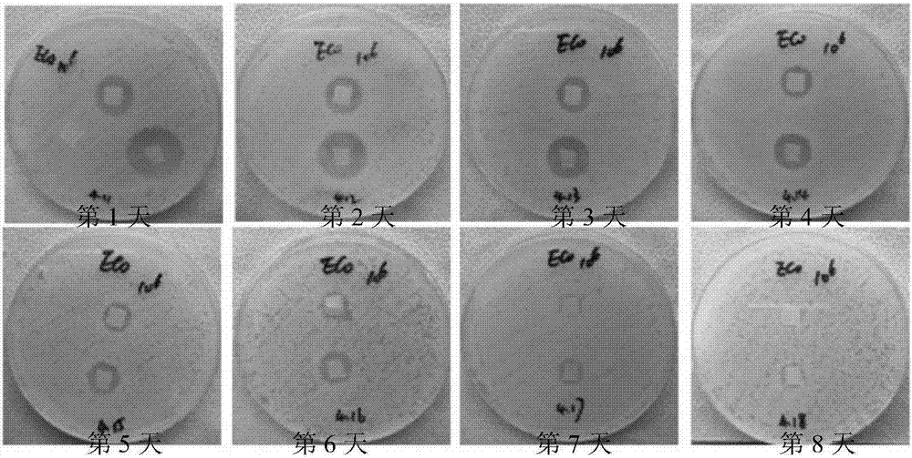 Slow-release and anti-infective composite soft tissue repair material and preparation method thereof