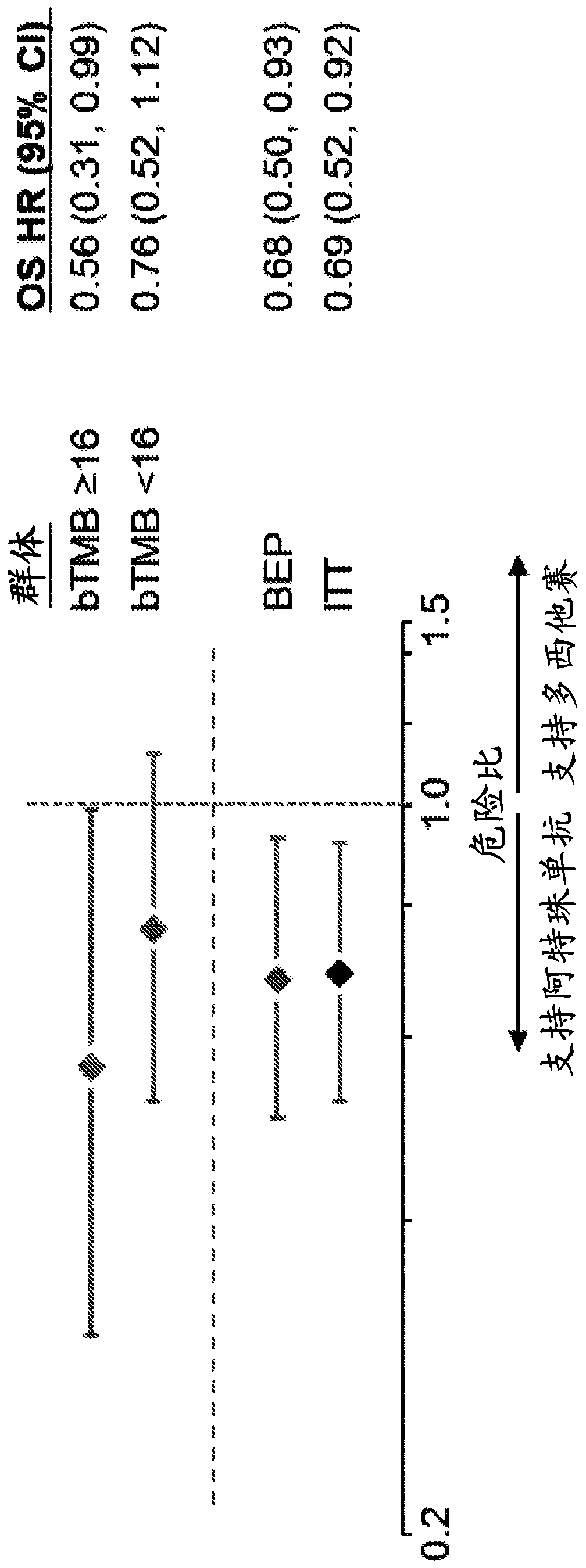 Therapeutic and diagnostic methods for cancer