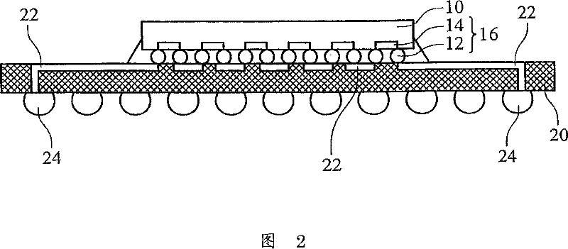 Apparatus and method for testing conductive bumps