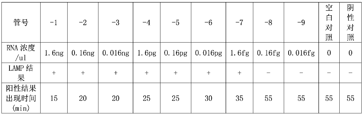 Nucleic-acid visual detection kit for novel coronavirus SARS-CoV-2