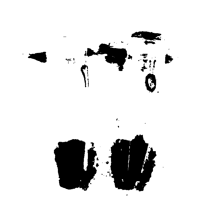 Nucleic-acid visual detection kit for novel coronavirus SARS-CoV-2