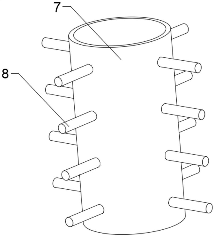 Polishing device for rice processing