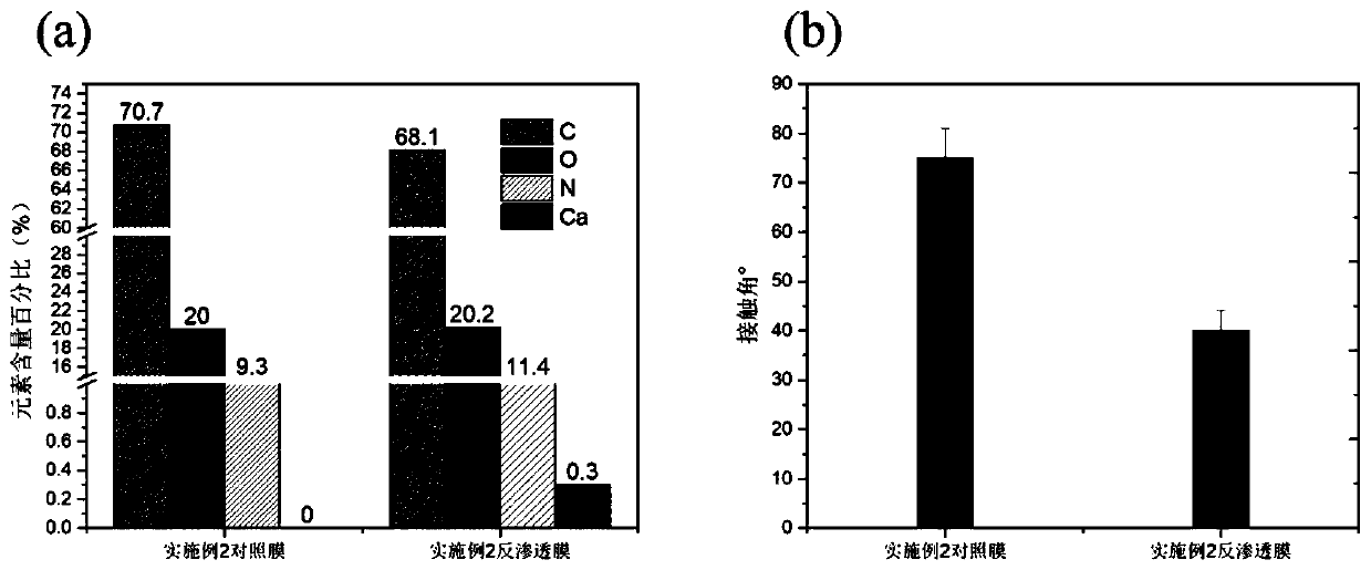 Preparation method of anti-pollution polyamide film composite film