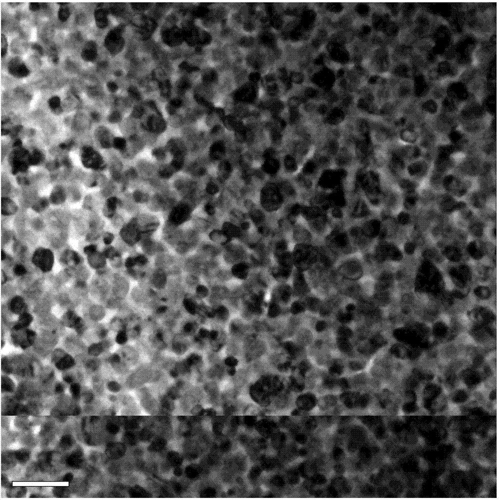 Surface clad layer treatment method of copper tungsten electrical contact material for arc extinguish chamber