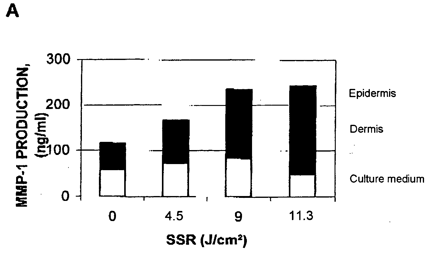 Preventing and/or combating collagen fiber degradation induced under conditions of natural exposure to sunlight