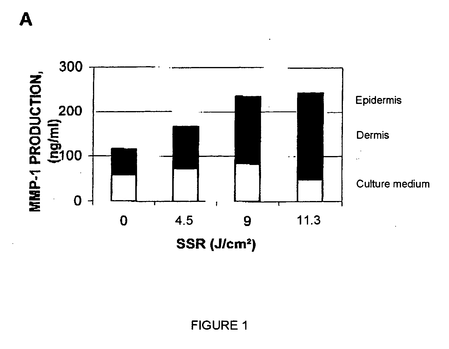 Preventing and/or combating collagen fiber degradation induced under conditions of natural exposure to sunlight