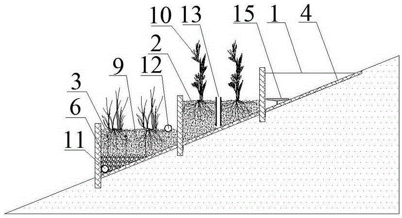 Sloping bottom type subsurface flow constructed wetland combined system