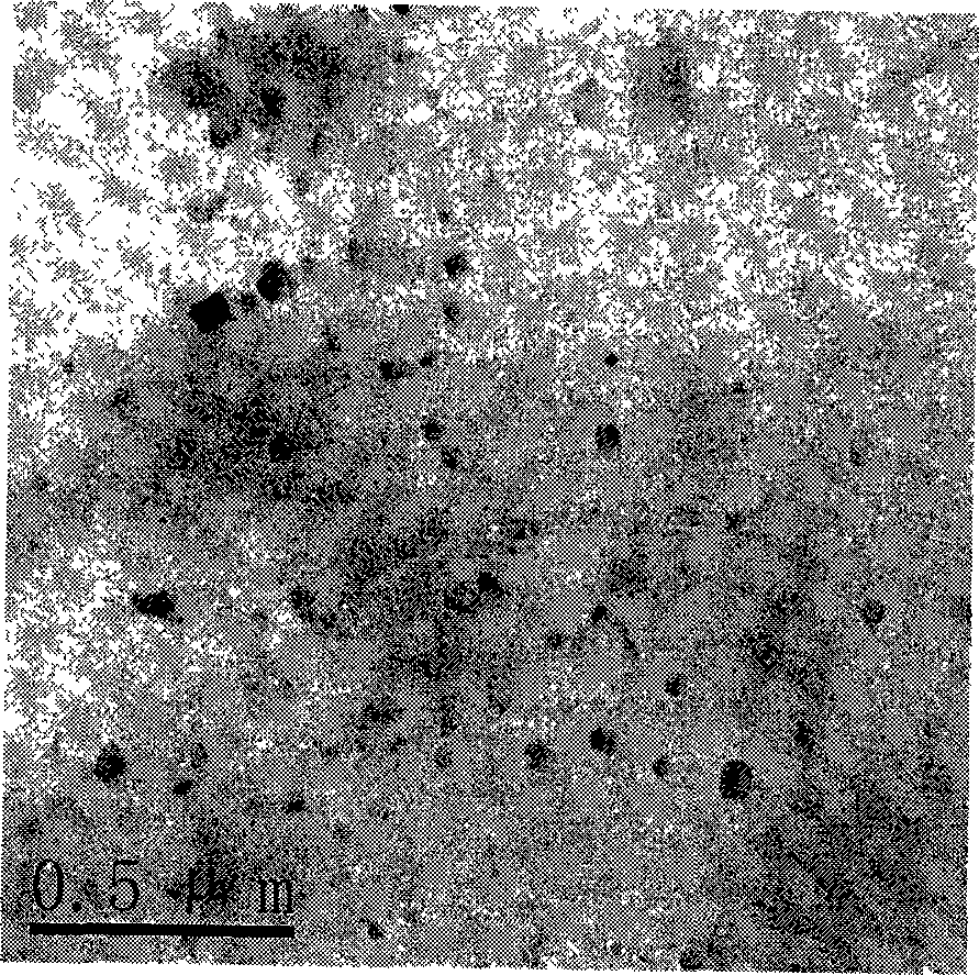 Low dielectric coefficient polyimide/oligomeric silsesquioxane nano hybrid film and preparation thereof