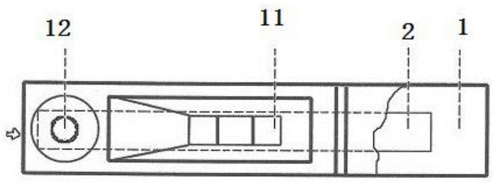 Rapid aristolochic acid A detection card and detection method of aristolochic acid A