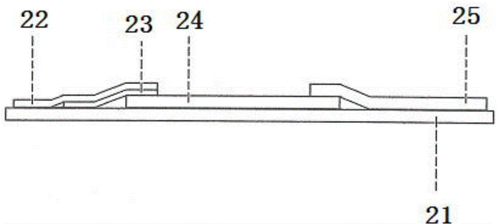 Rapid aristolochic acid A detection card and detection method of aristolochic acid A