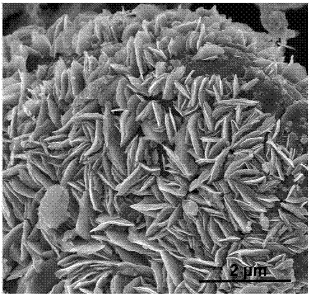 A kind of titanium disulfide nanosheet/graphene composite counter electrode and preparation method thereof