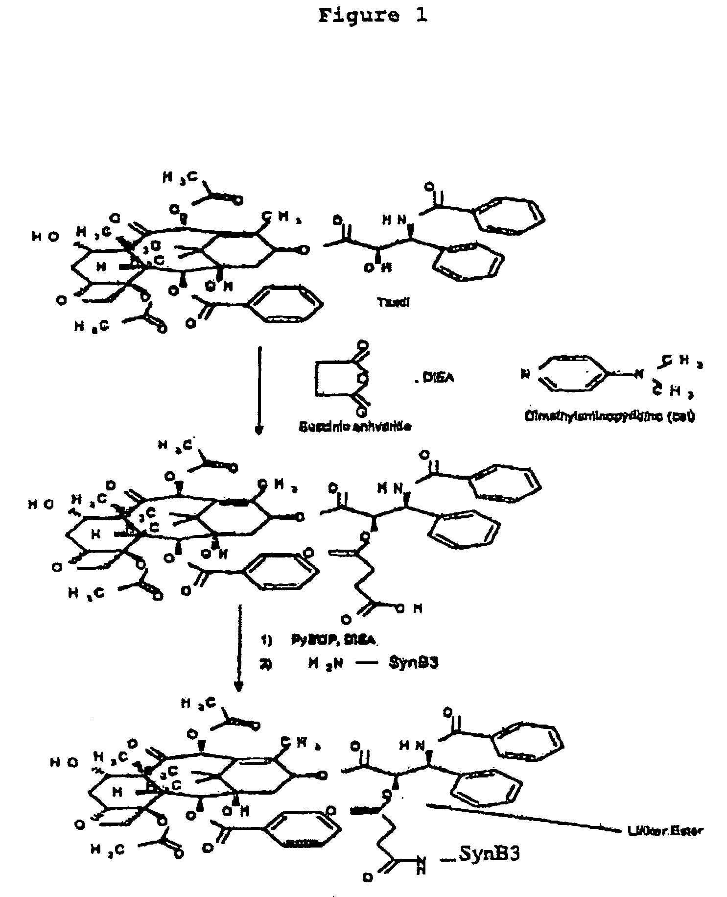 Transporting of taxoid derivatives through the blood brain barrier