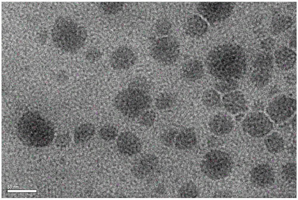 Core-shell structure nanoparticles for reduction/enzyme/pH multi-responsive drug release