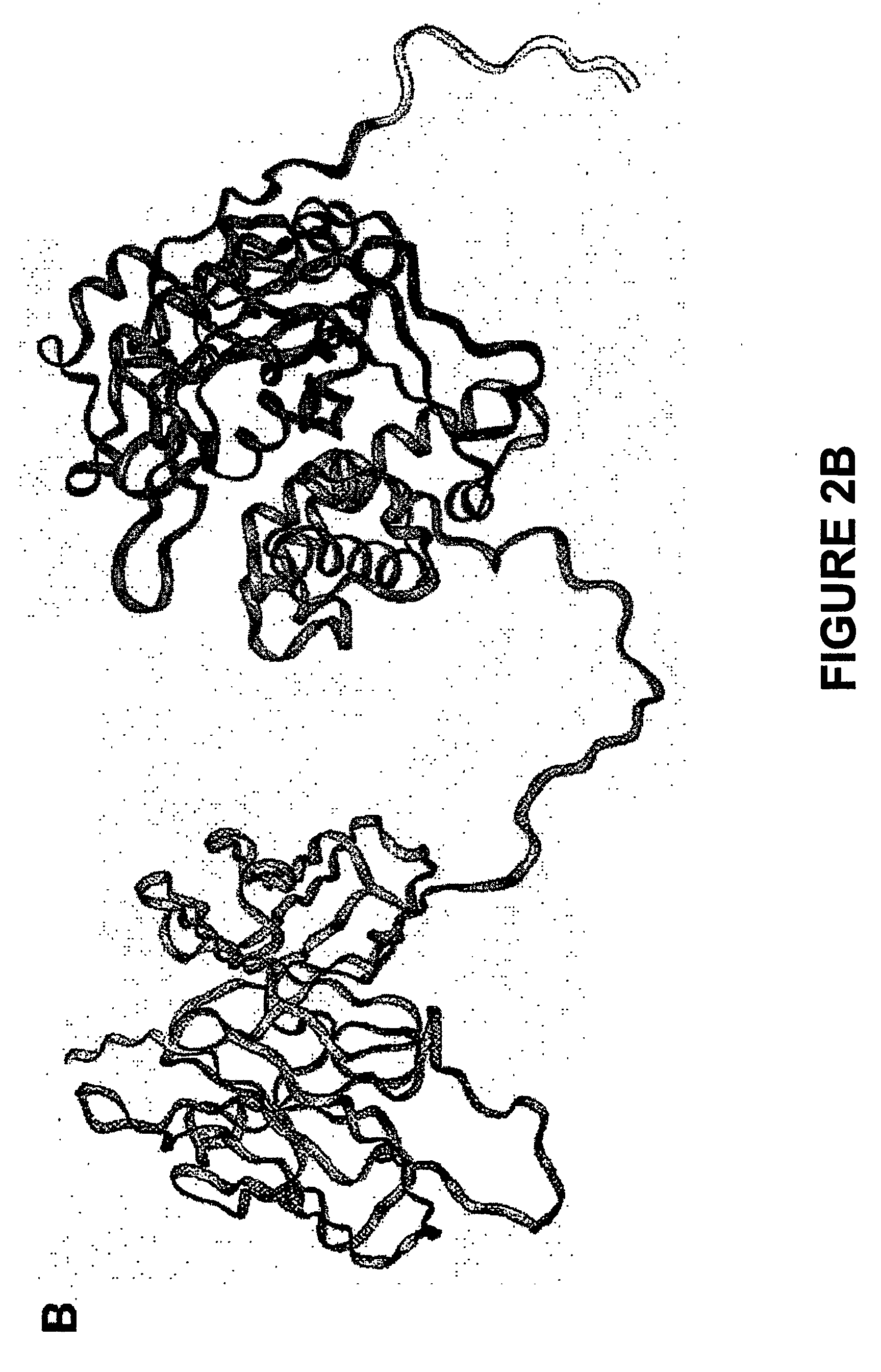 Methods for treating cancer using an immunotoxin