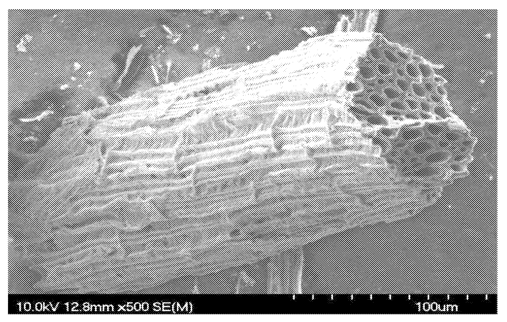 Catalyst support using cellulose fibers, preparation method thereof, supported catalyst comprising nano-metal catalyst supported on carbon nanotubes directly grown on surface of the catalyst support, and method of preparing the supported catalyst