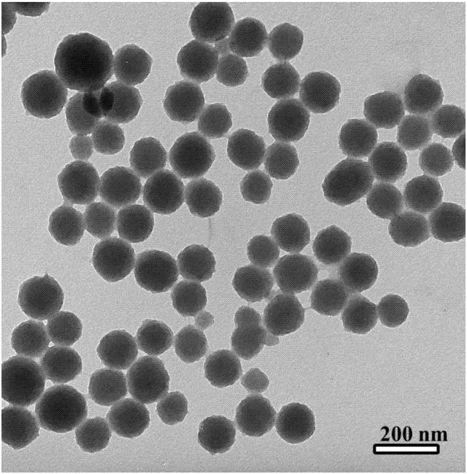 Preparation method of nitrogen-doped carbon nanosphere/molybdenum disulfide sodium ion battery negative electrode plate