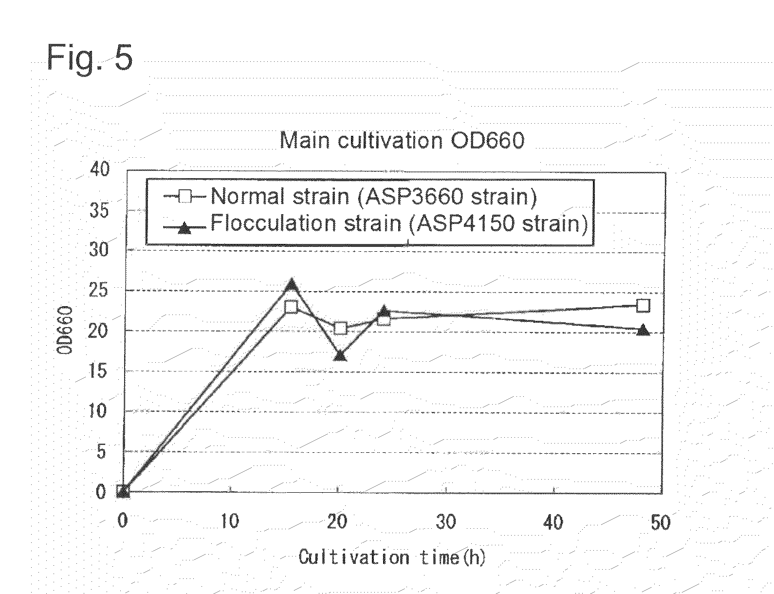 Transformant of schizosaccharomyces pombe mutant and cloning vector