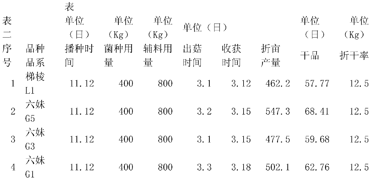 High-yield method for planting toadstool without nutrient bags